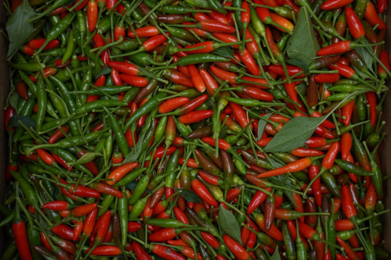 Sajam srijedom 1.10.2025 (45)