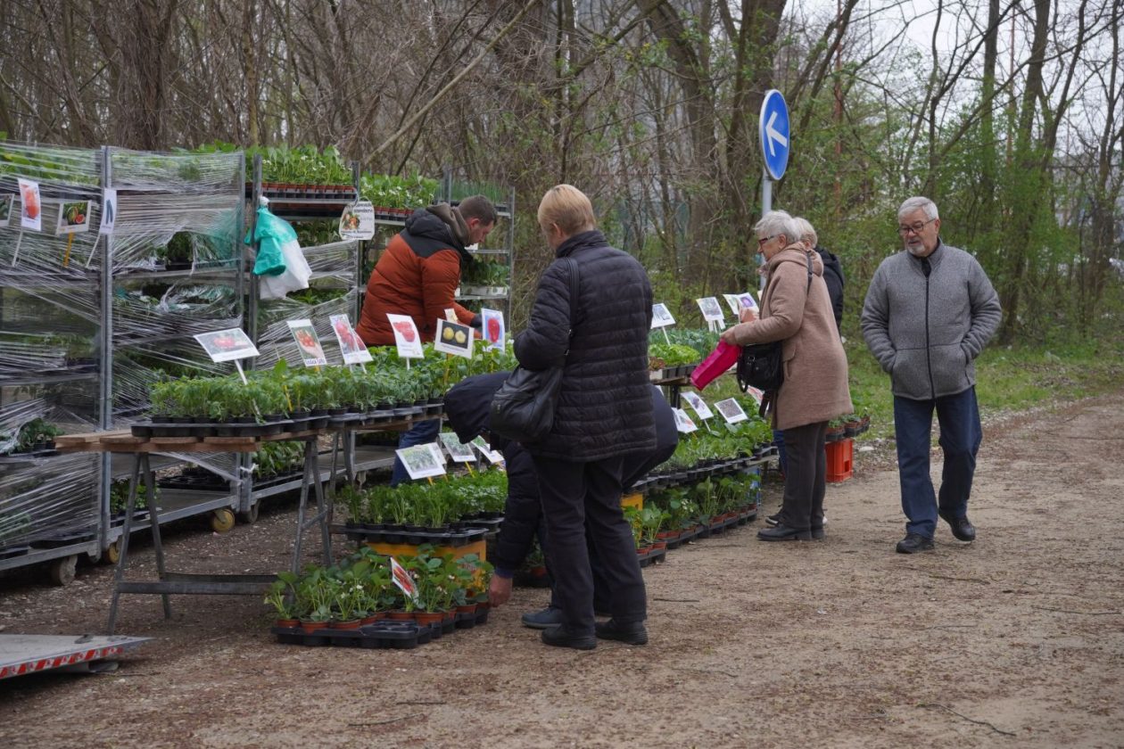 Sajam srijedom 1.4.2026 (10) Sajam srijedom 1.4.2026 (10)