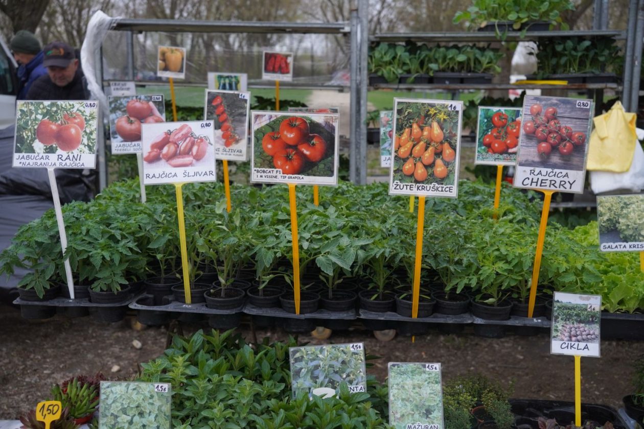 Sajam srijedom 1.4.2026 (16) Sajam srijedom 1.4.2026 (16)