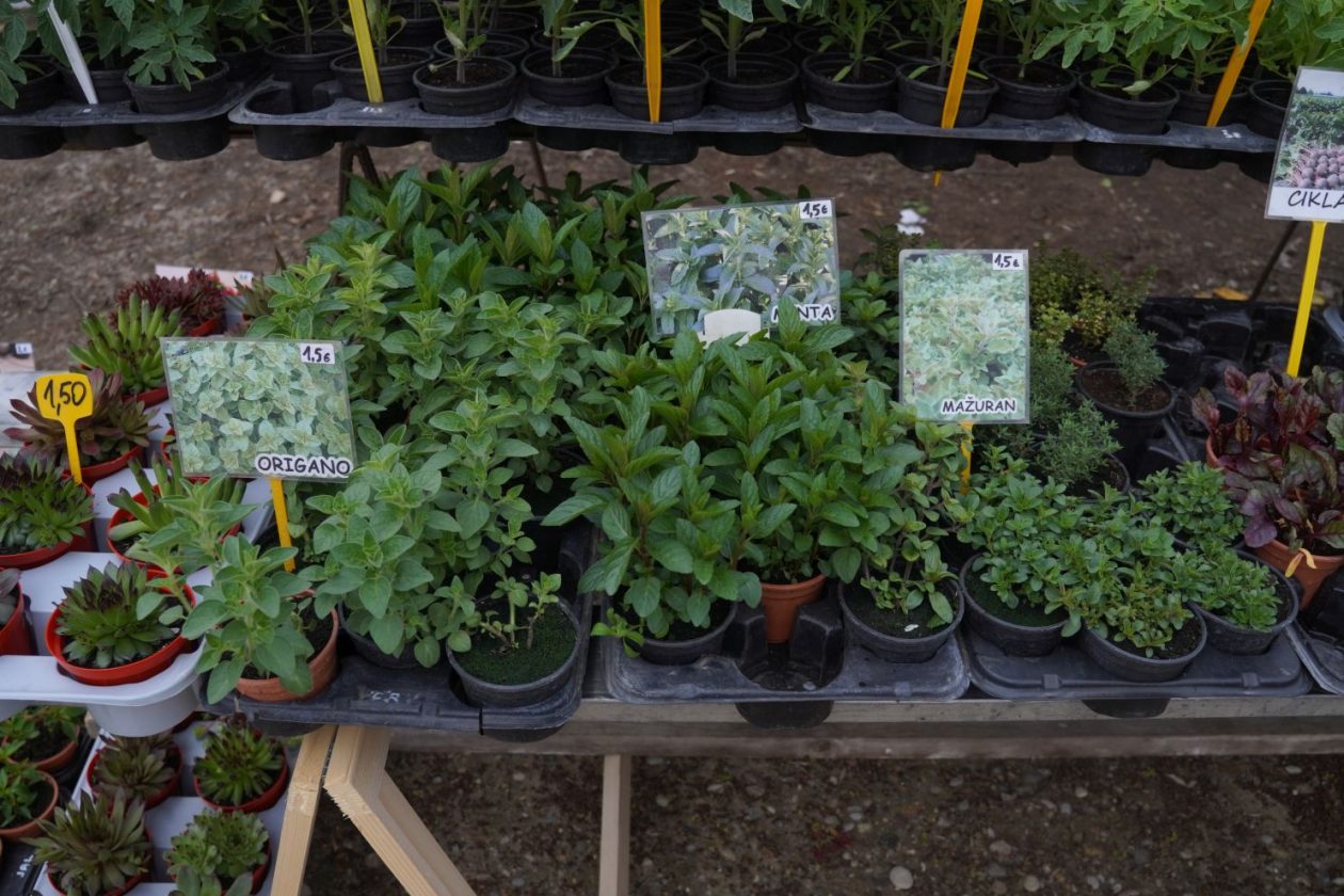 Sajam srijedom 1.4.2026 (17) Sajam srijedom 1.4.2026 (17)