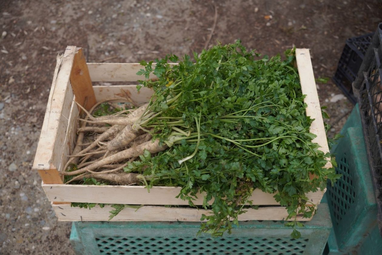 Sajam srijedom 1.4.2026 (33) Sajam srijedom 1.4.2026 (33)