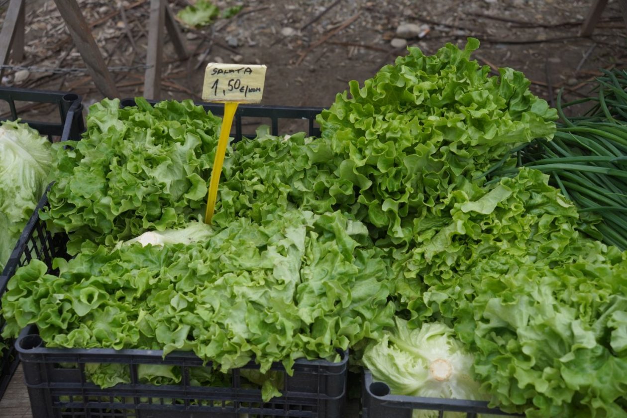 Sajam srijedom 1.4.2026 (42) Sajam srijedom 1.4.2026 (42)