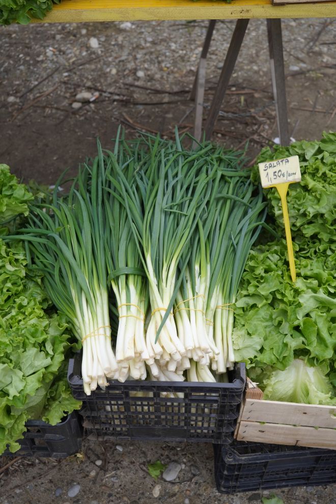 Sajam srijedom 1.4.2026 (43) Sajam srijedom 1.4.2026 (43)