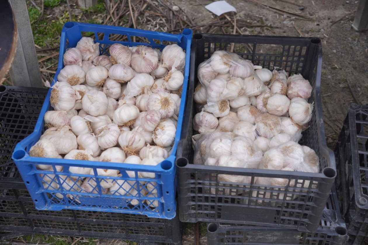 Sajam srijedom 1.4.2026 (49) Sajam srijedom 1.4.2026 (49)