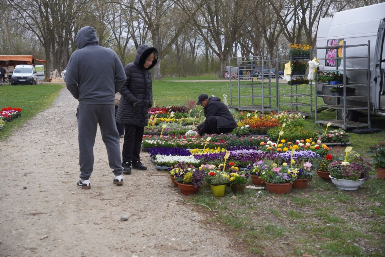 Sajam srijedom 1.4.2026 (5) Sajam srijedom 1.4.2026 (5)