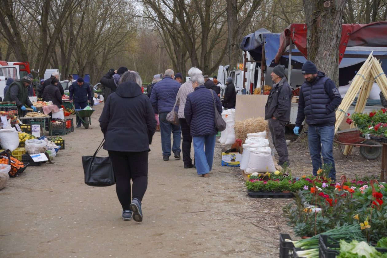Sajam srijedom 1.4.2026 (51) Sajam srijedom 1.4.2026 (51)