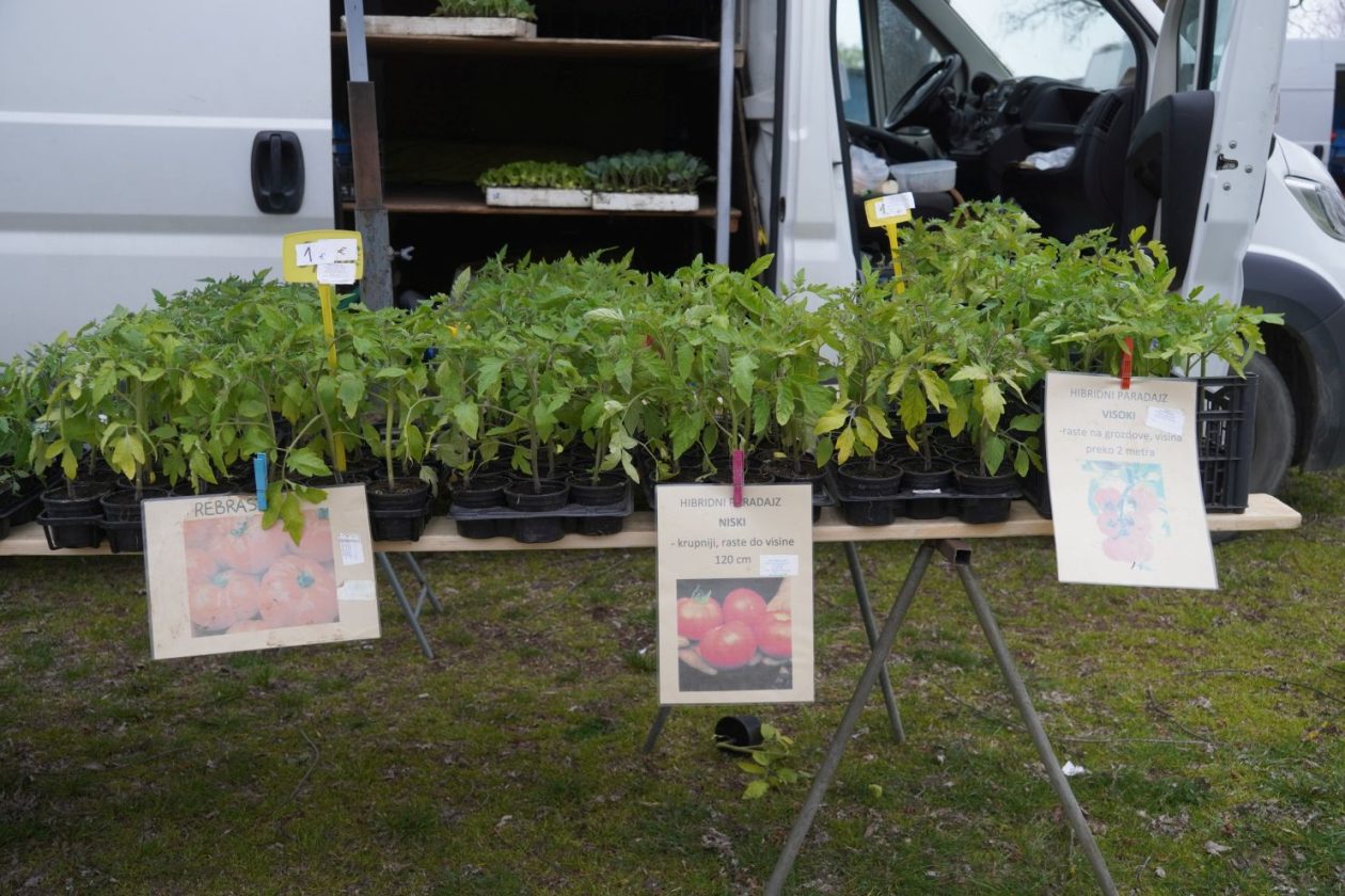 Sajam srijedom 1.4.2026 (6) Sajam srijedom 1.4.2026 (6)