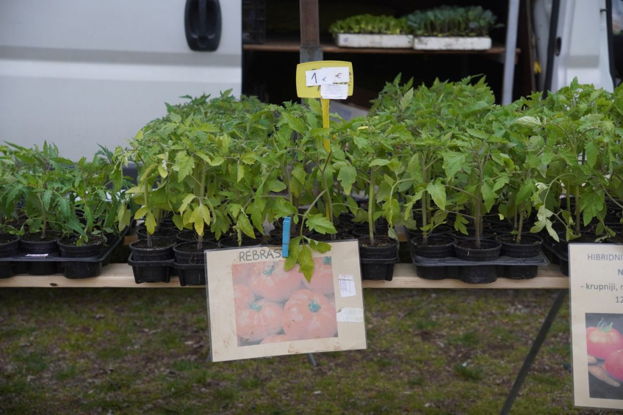 Sajam srijedom 1.4.2026 (7) Sajam srijedom 1.4.2026 (7)