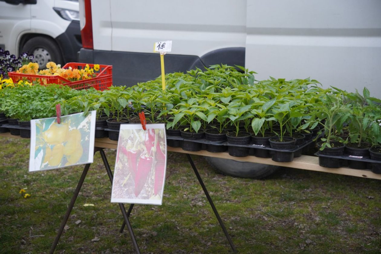 Sajam srijedom 1.4.2026 (8) Sajam srijedom 1.4.2026 (8)