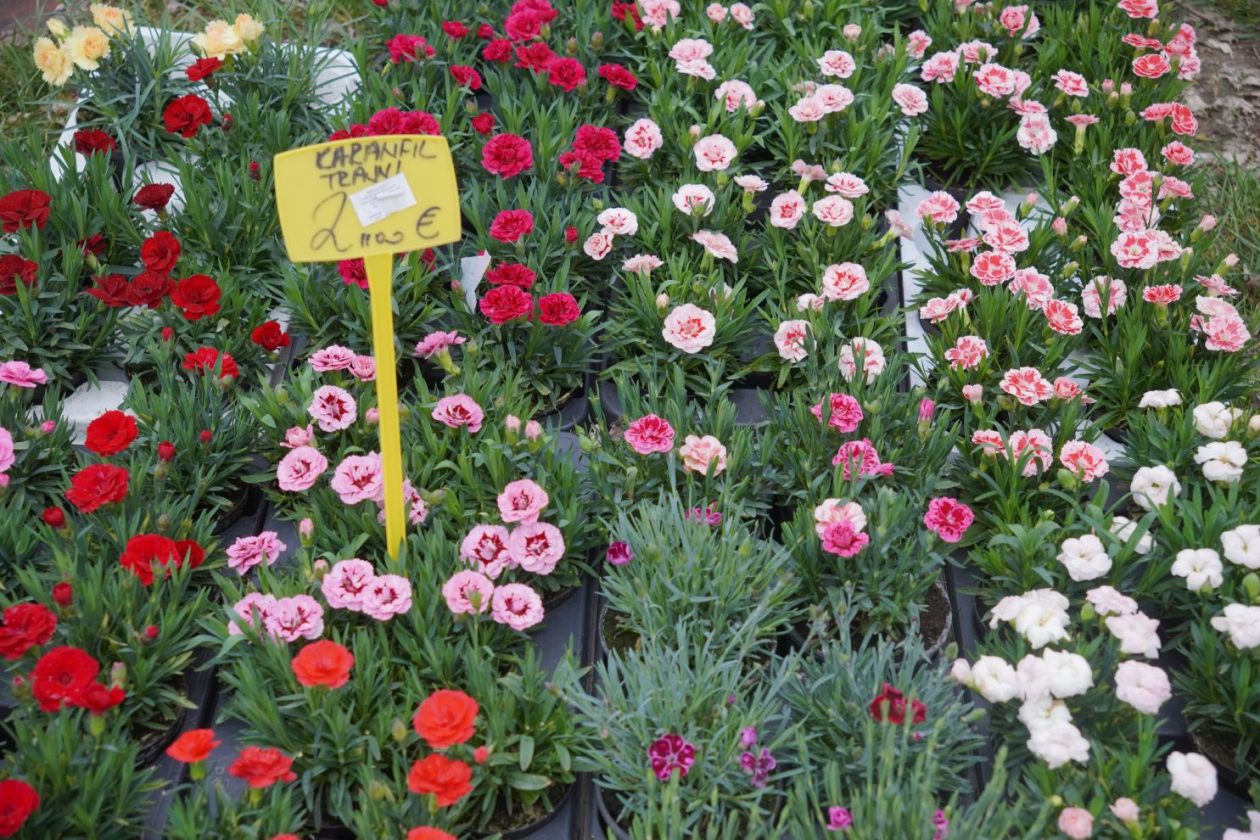 Sajam srijedom 1.4.2026 (9) Sajam srijedom 1.4.2026 (9)