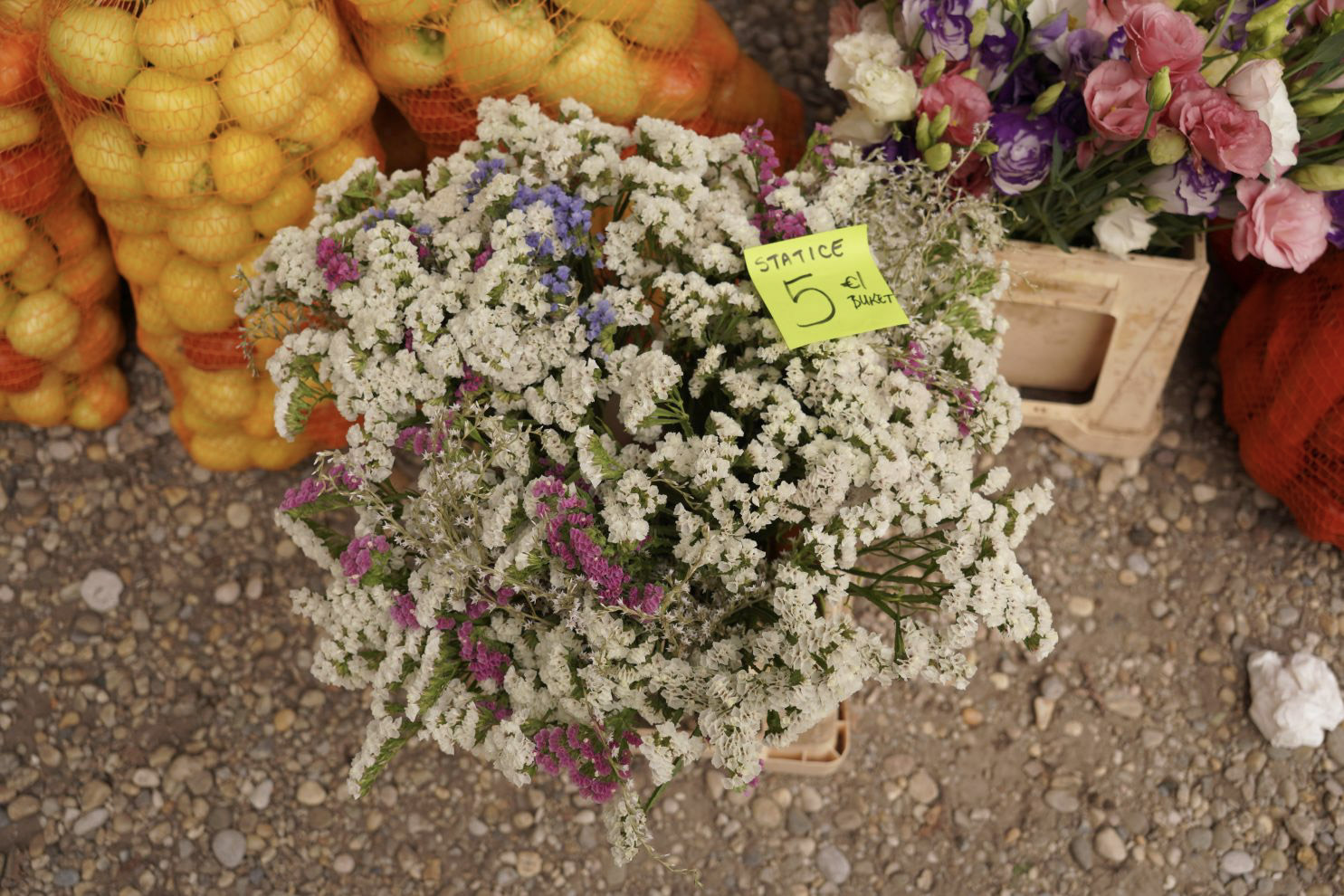 Sajam srijedom 10. 9. 2025 (13)