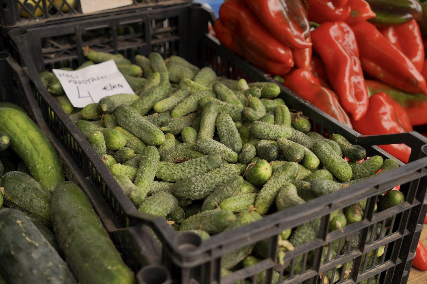 Sajam srijedom 10. 9. 2025 (14)