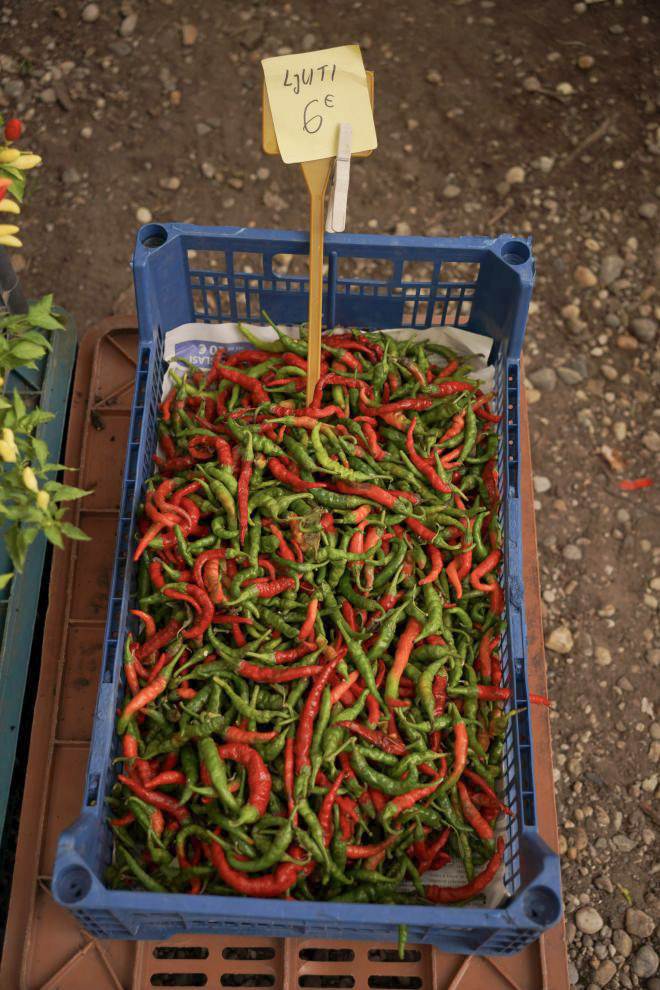 Sajam srijedom 10. 9. 2025 (18)