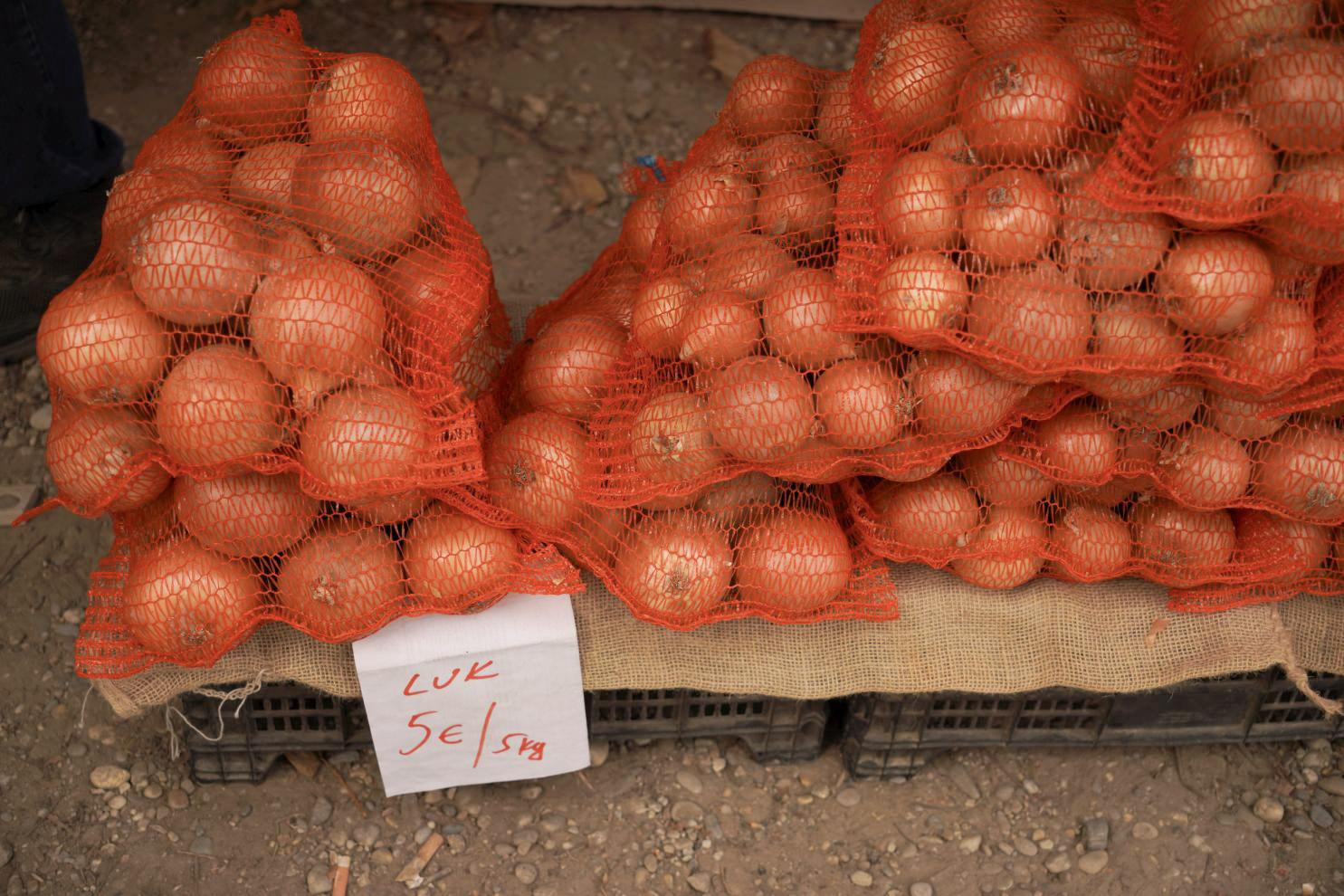 Sajam srijedom 10. 9. 2025 (2)