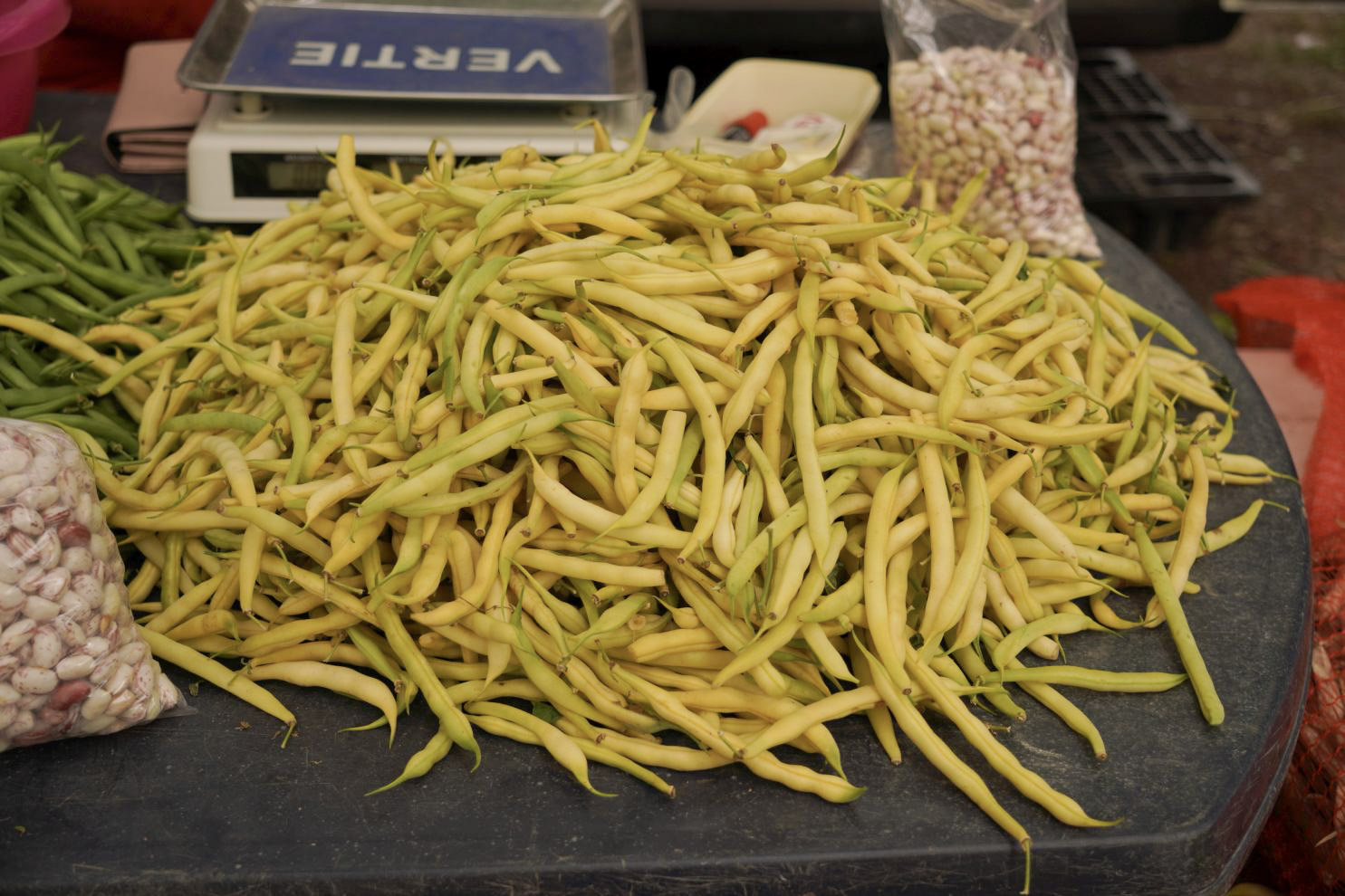 Sajam srijedom 10. 9. 2025 (23)