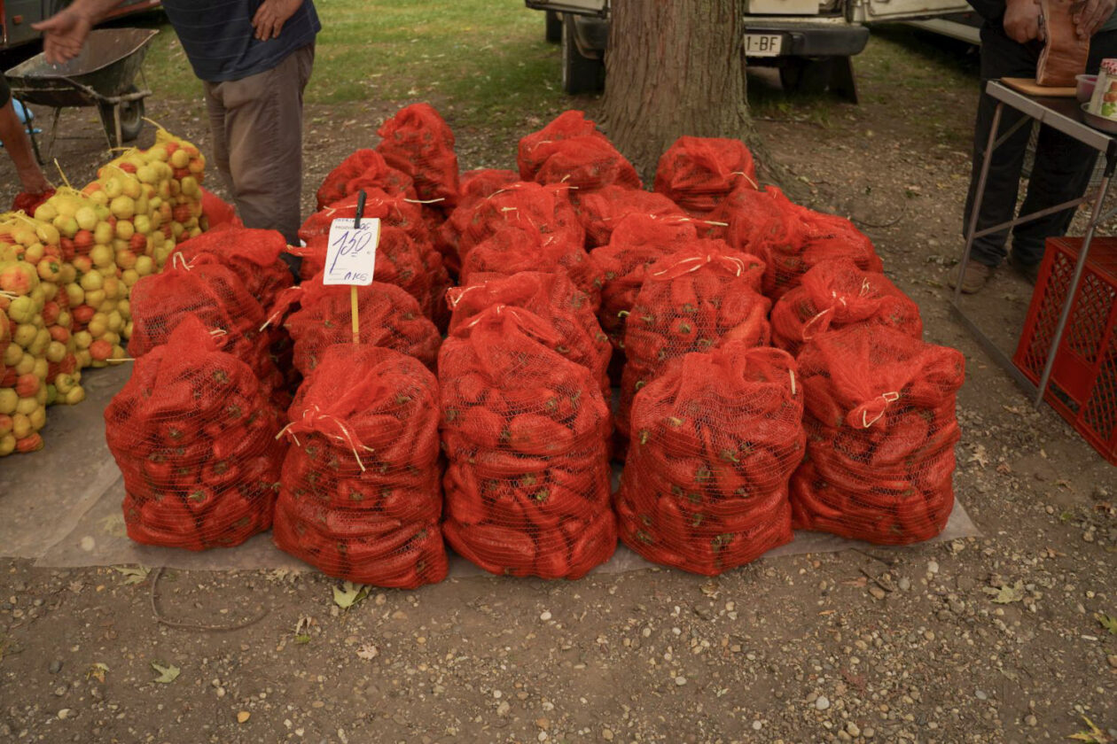 Sajam srijedom 10. 9. 2025 (25)