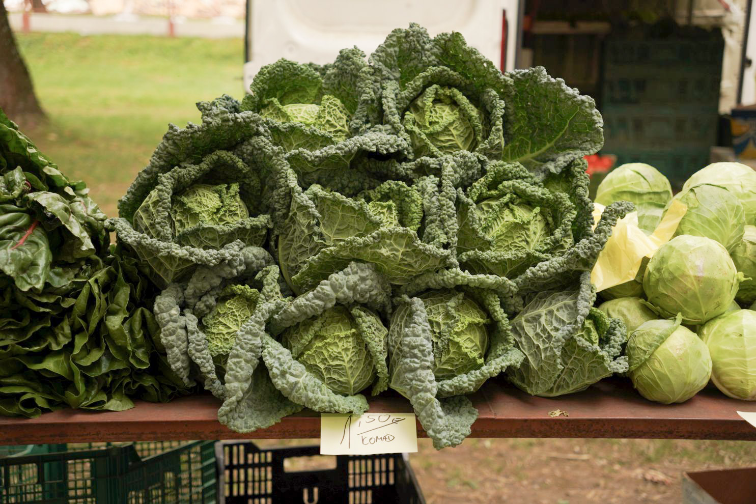 Sajam srijedom 10. 9. 2025 (29)