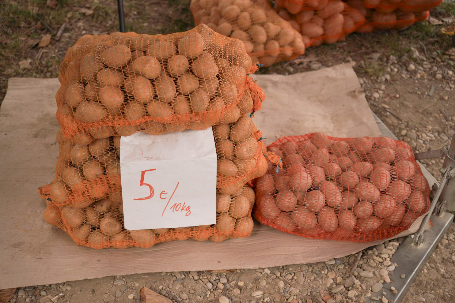 Sajam srijedom 10. 9. 2025 (3)