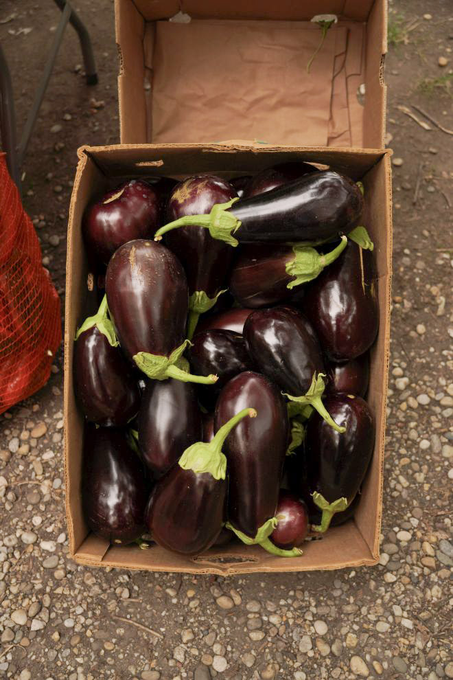 Sajam srijedom 10. 9. 2025 (32)