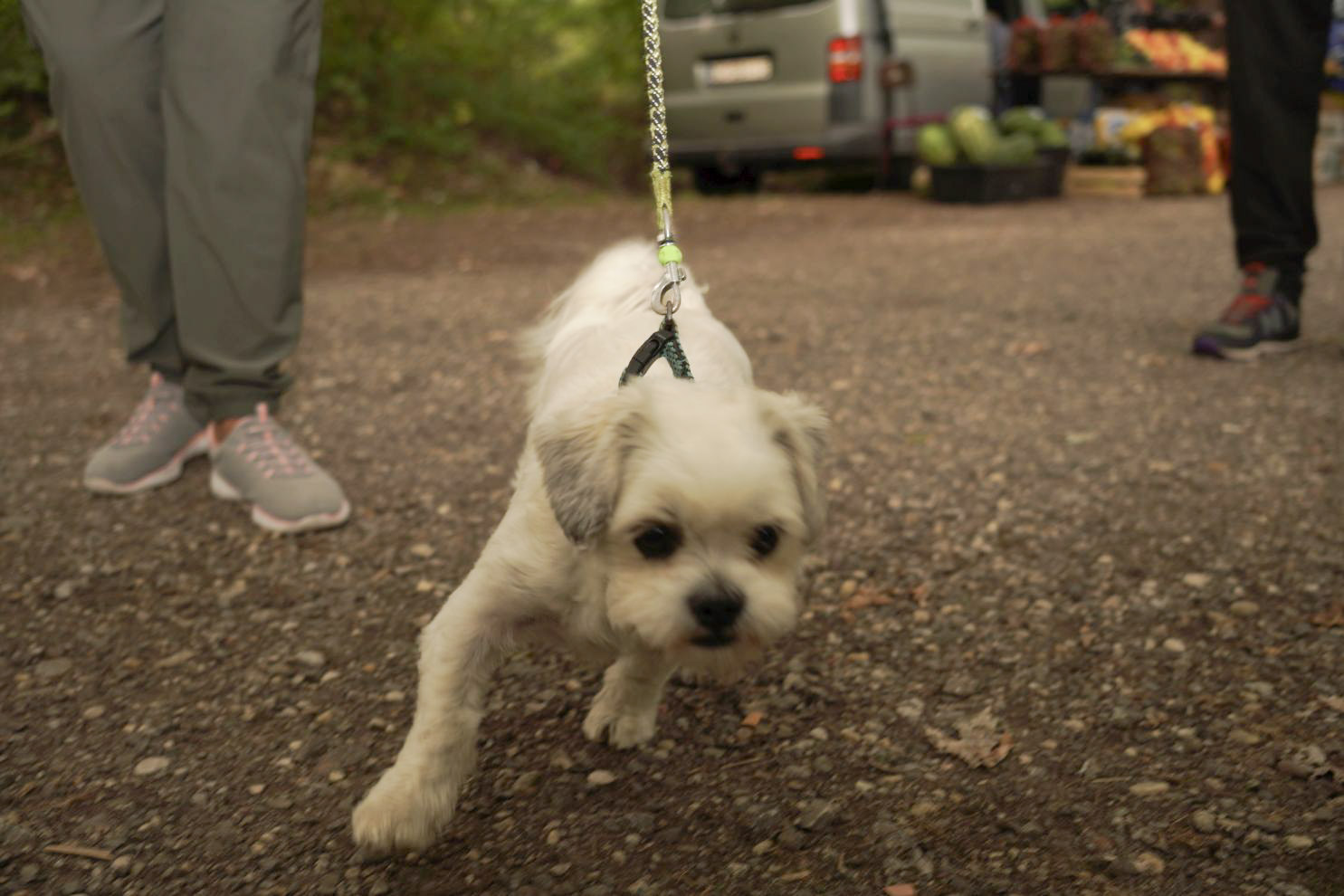 Sajam srijedom 10. 9. 2025 (34)