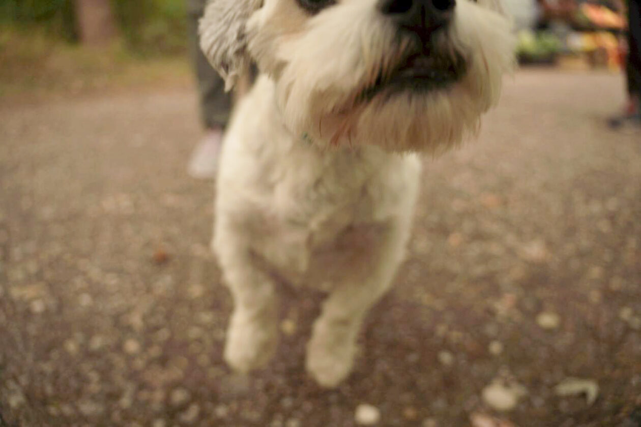 Sajam srijedom 10. 9. 2025 (35)