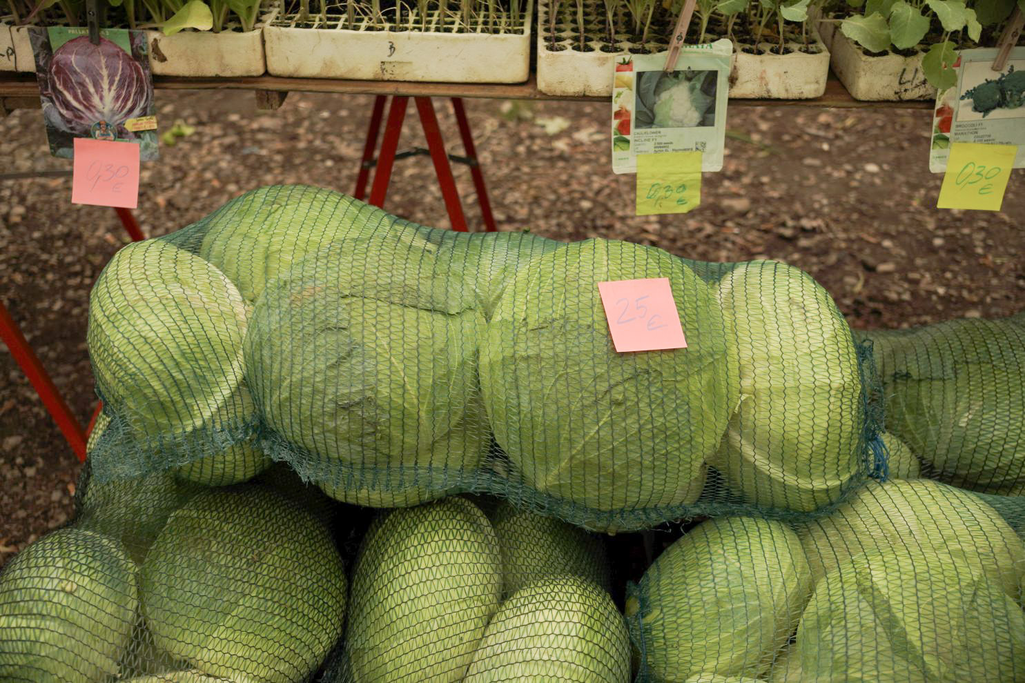 Sajam srijedom 10. 9. 2025 (47)