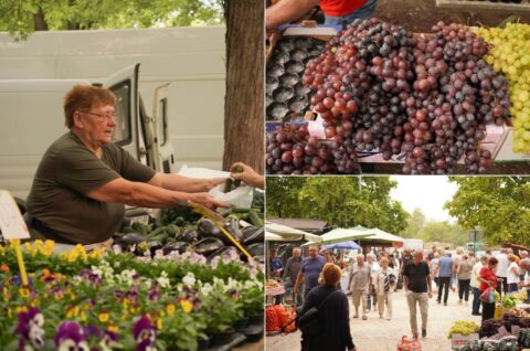 Sajam srijedom 10. 9. 2025