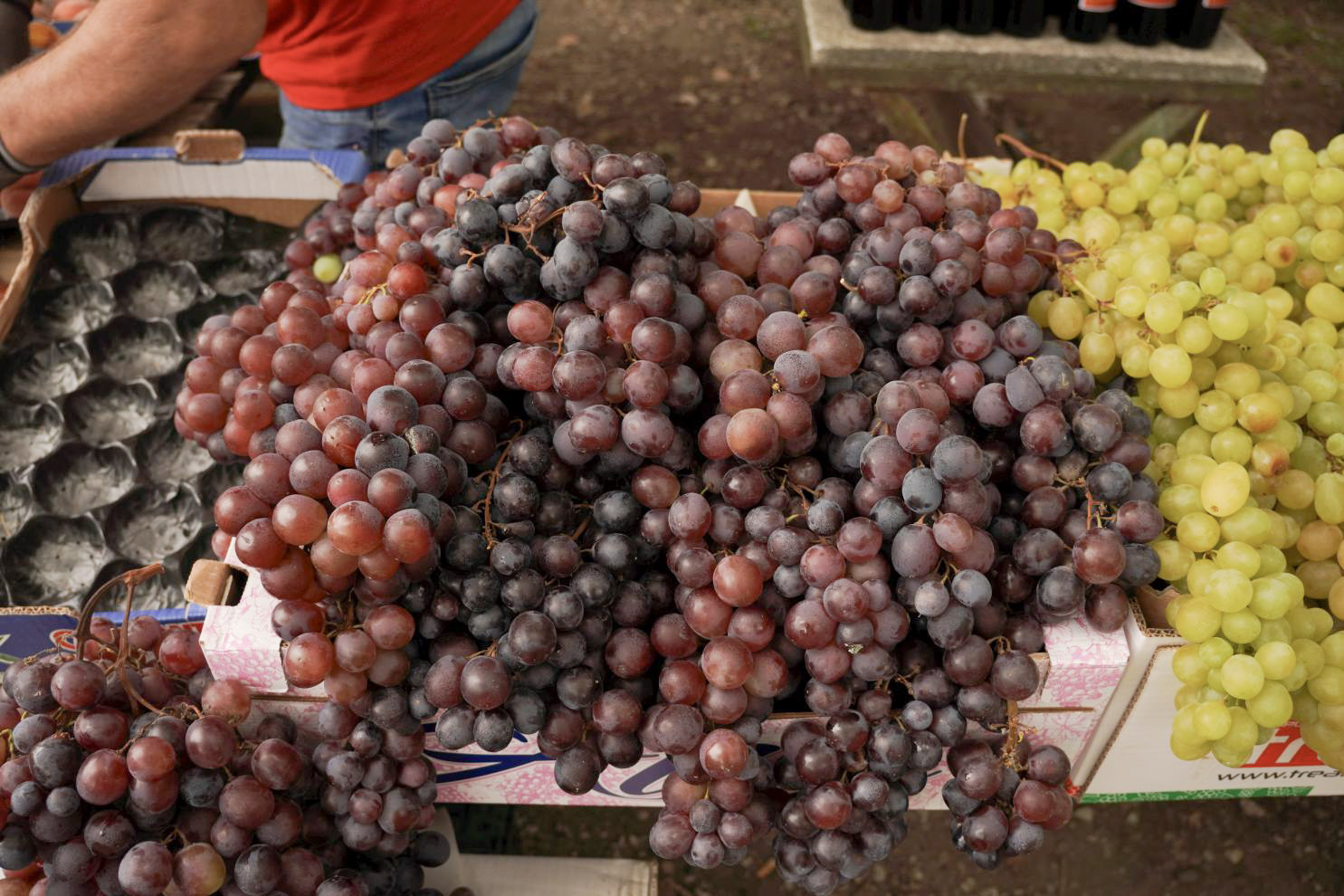 Sajam srijedom 10. 9. 2025 (51)