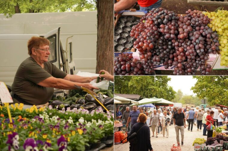 Sajam srijedom 10. 9. 2025