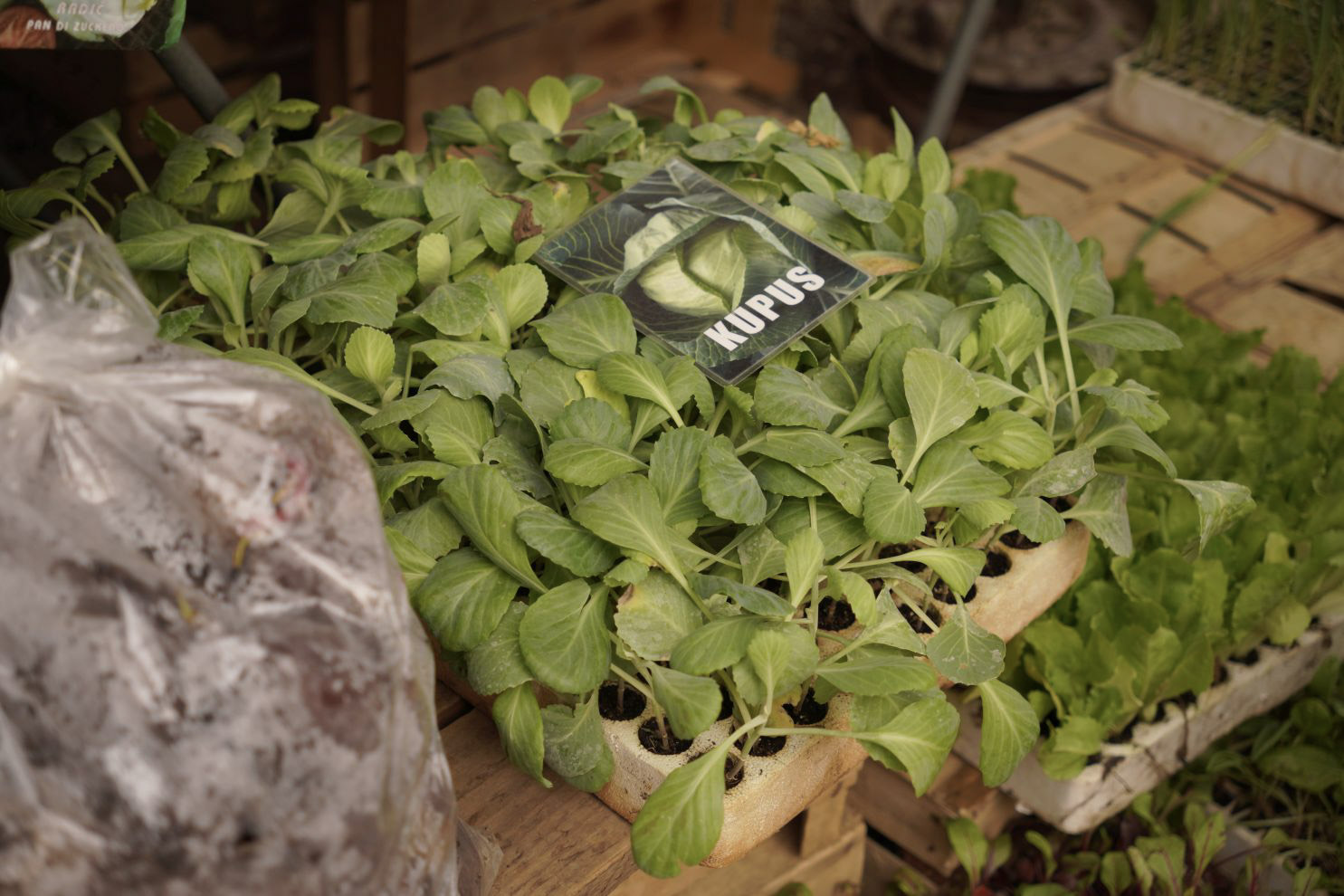 Sajam srijedom 10. 9. 2025 (8)