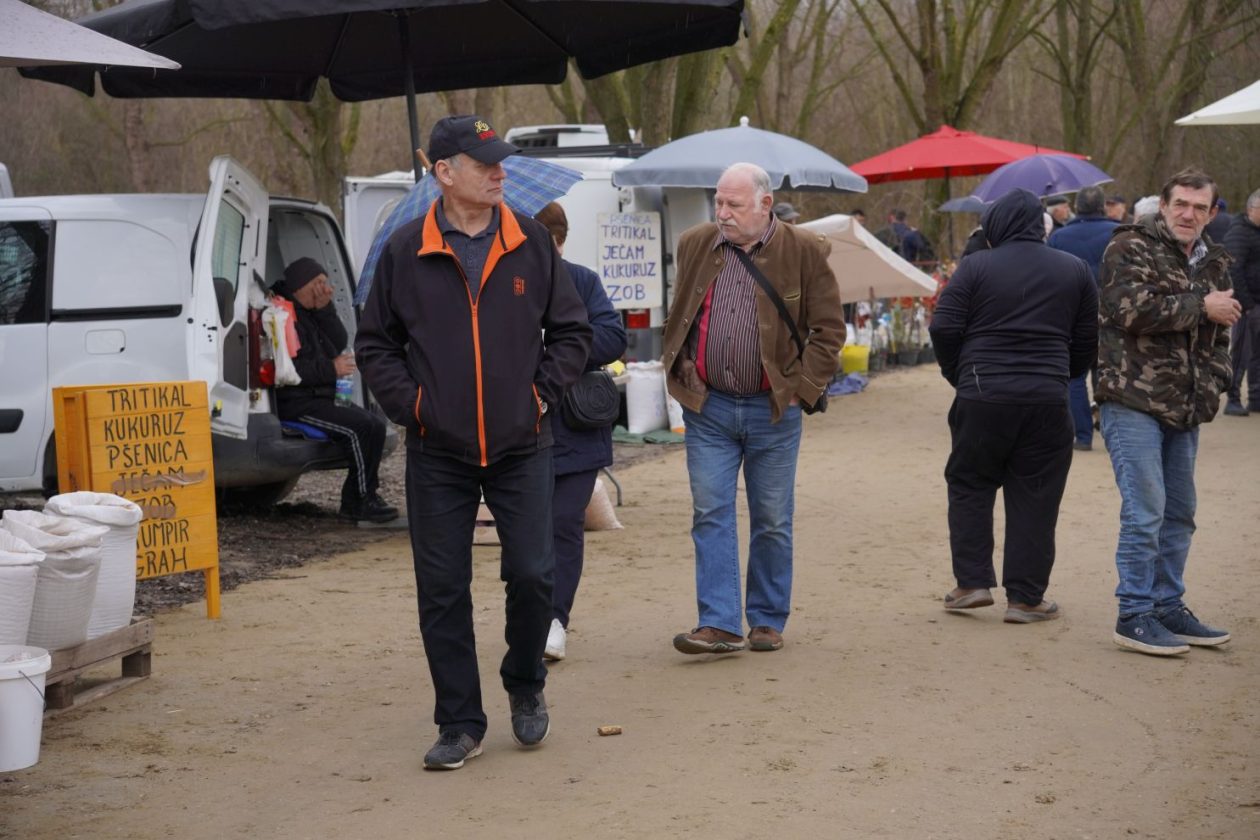 Sajam srijedom 11.2.2026 (17)