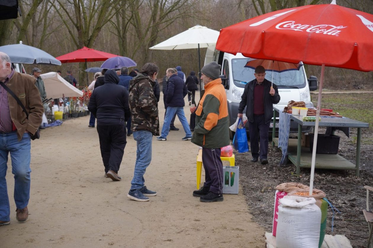 Sajam srijedom 11.2.2026 (18)