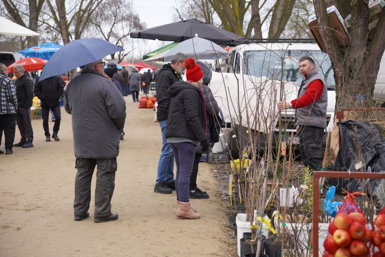 Sajam srijedom 11.2.2026 (24)