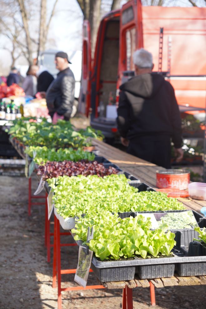 Sajam srijedom 11.3.2026 (33)