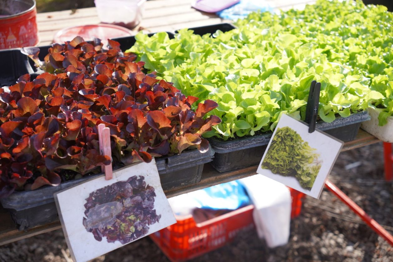 Sajam srijedom 11.3.2026 (35)