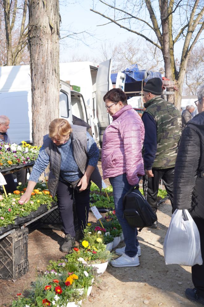 Sajam srijedom 11.3.2026 (38)