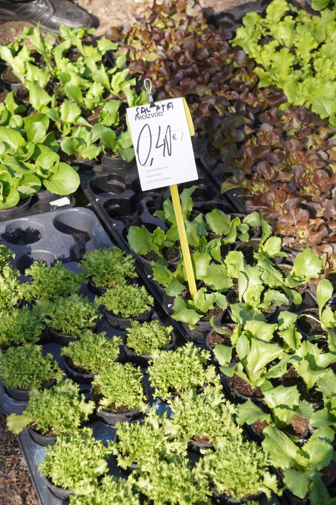 Sajam srijedom 11.3.2026 (40)