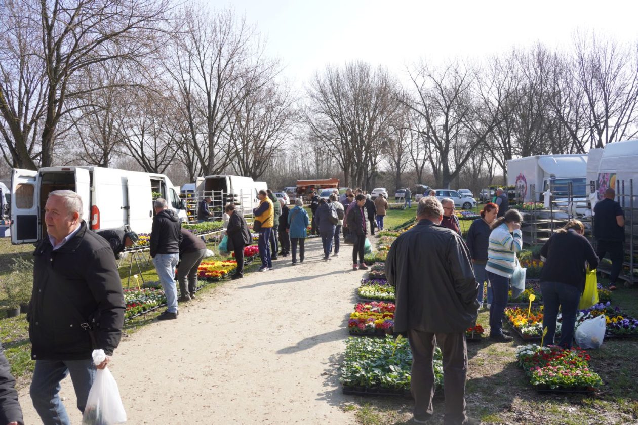 Sajam srijedom 11.3.2026 (8)