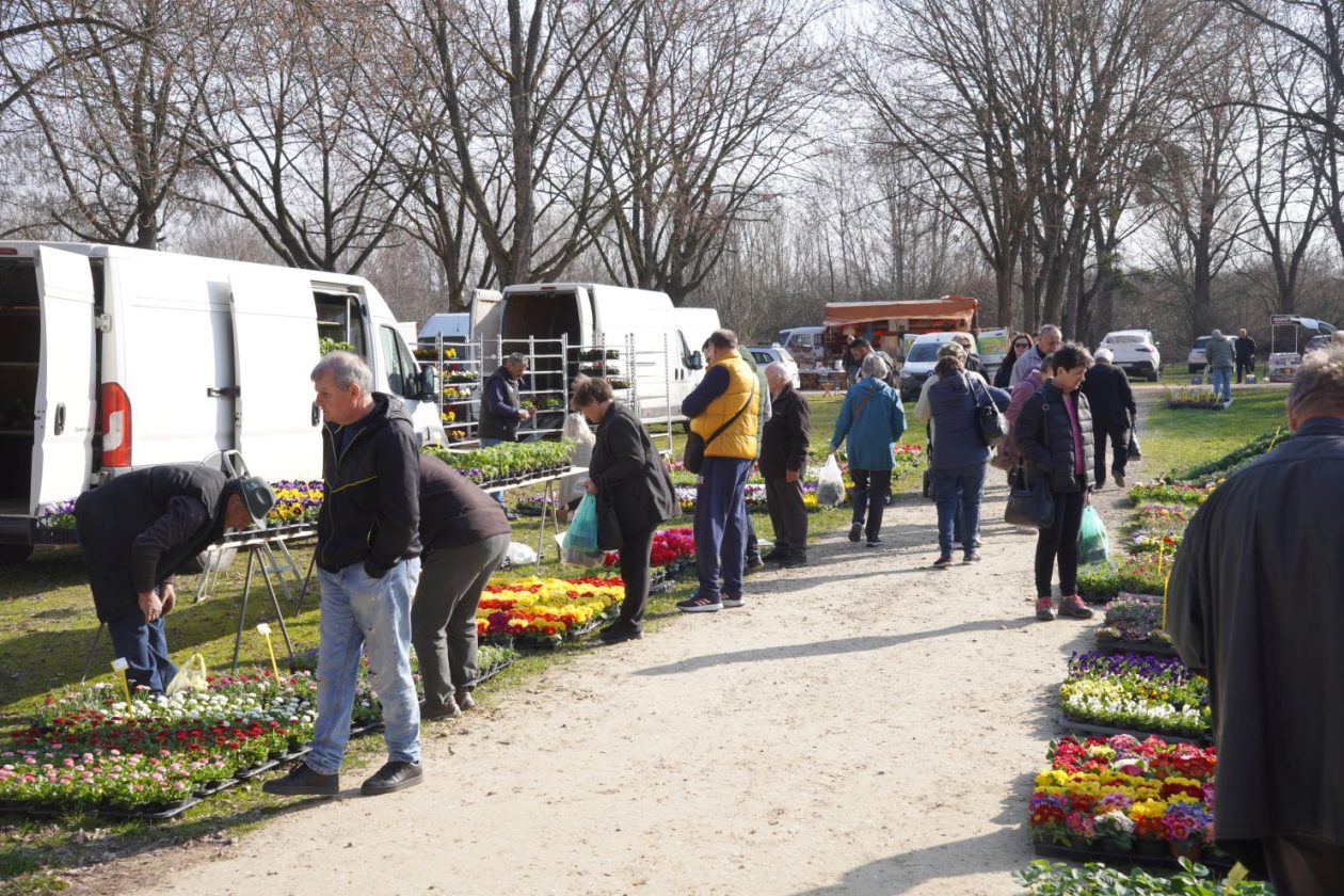 Sajam srijedom 11.3.2026 (9)