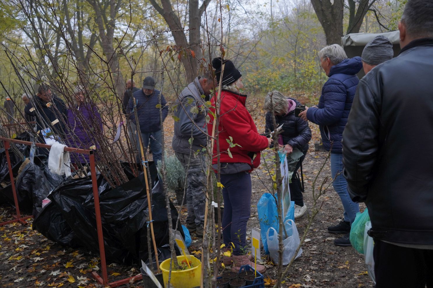 Sajam srijedom 12.11 (1)