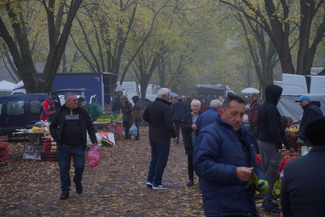 Sajam srijedom 12.11 (11)