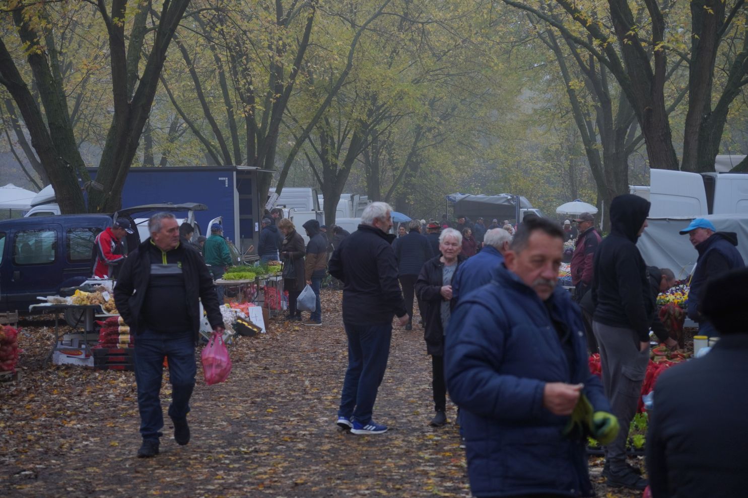 Sajam srijedom 12.11 (11)