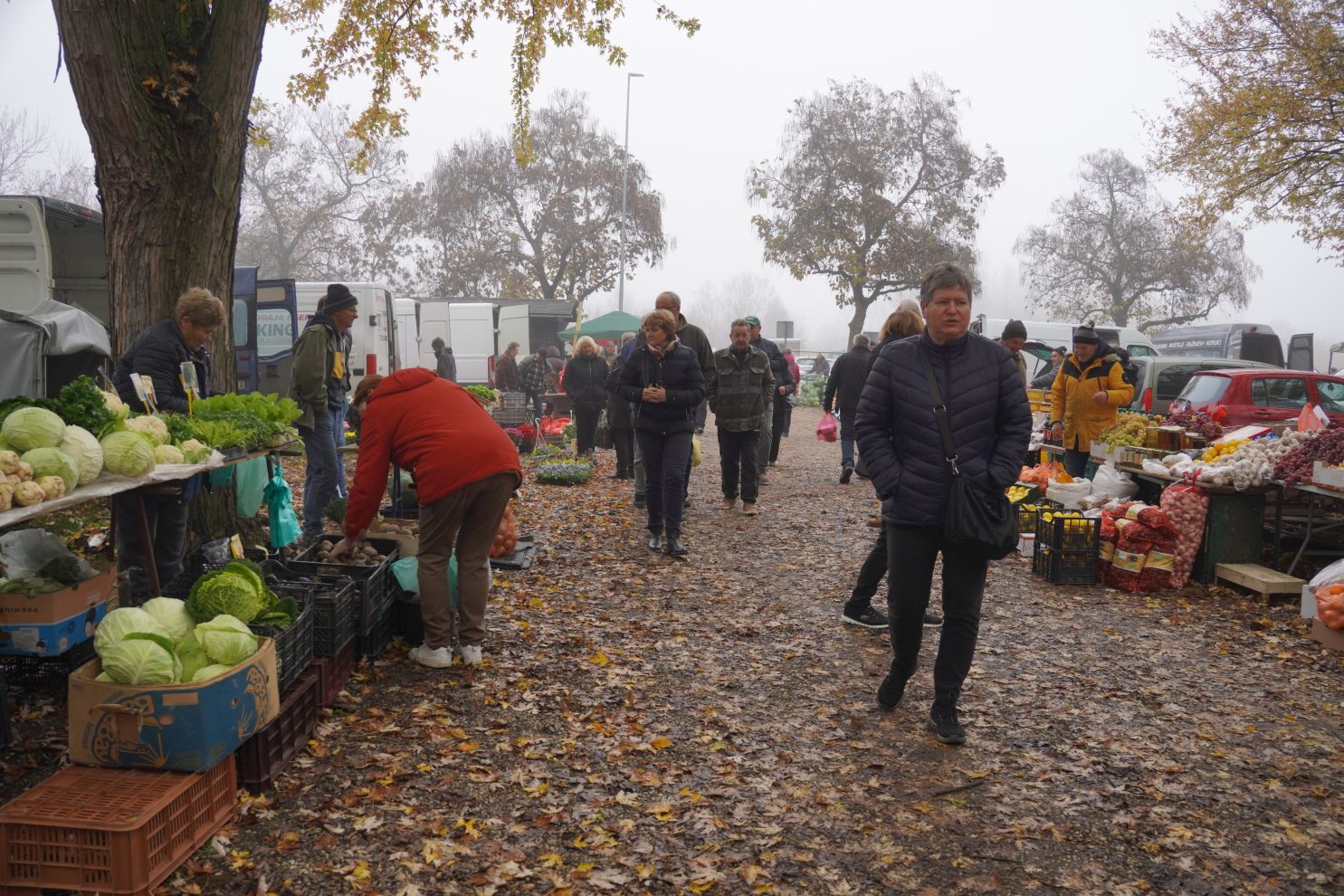 Sajam srijedom 12.11 (14)