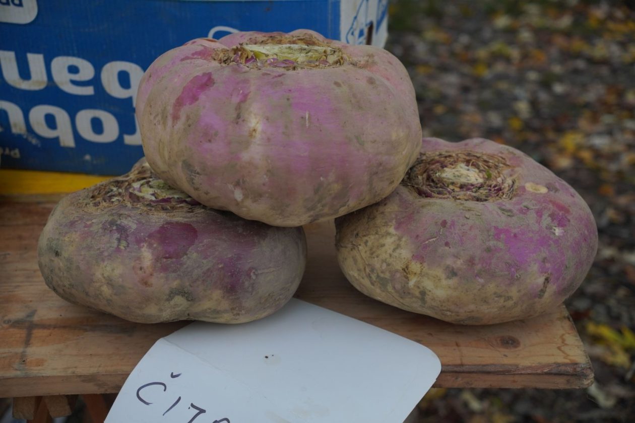 Sajam srijedom 12.11 (15)