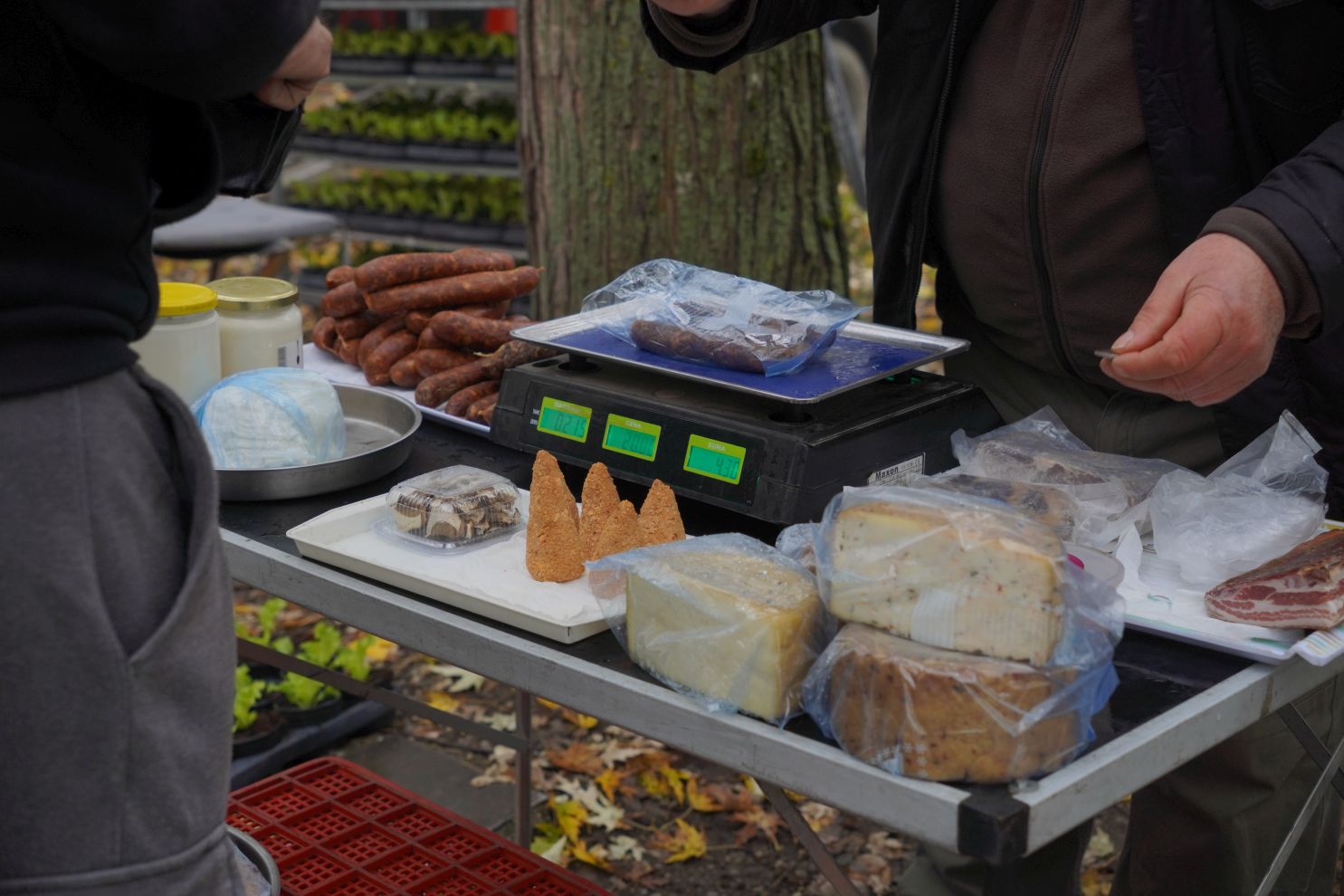 Sajam srijedom 12.11 (16)