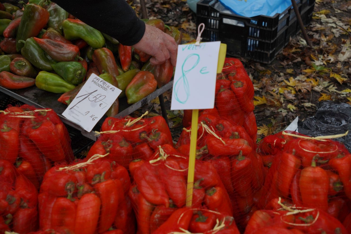 Sajam srijedom 12.11 (18)