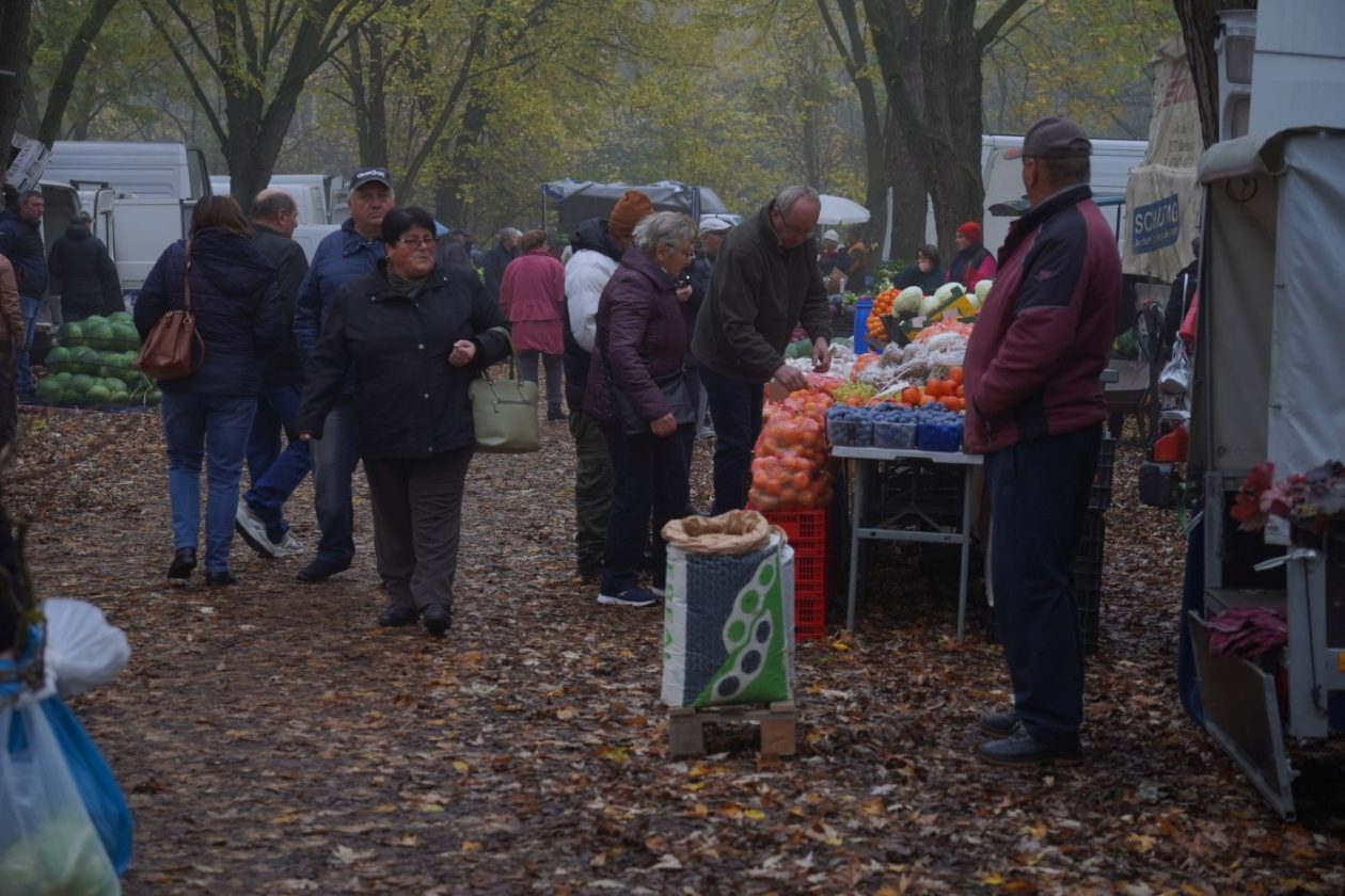 Sajam srijedom 12.11 (19)