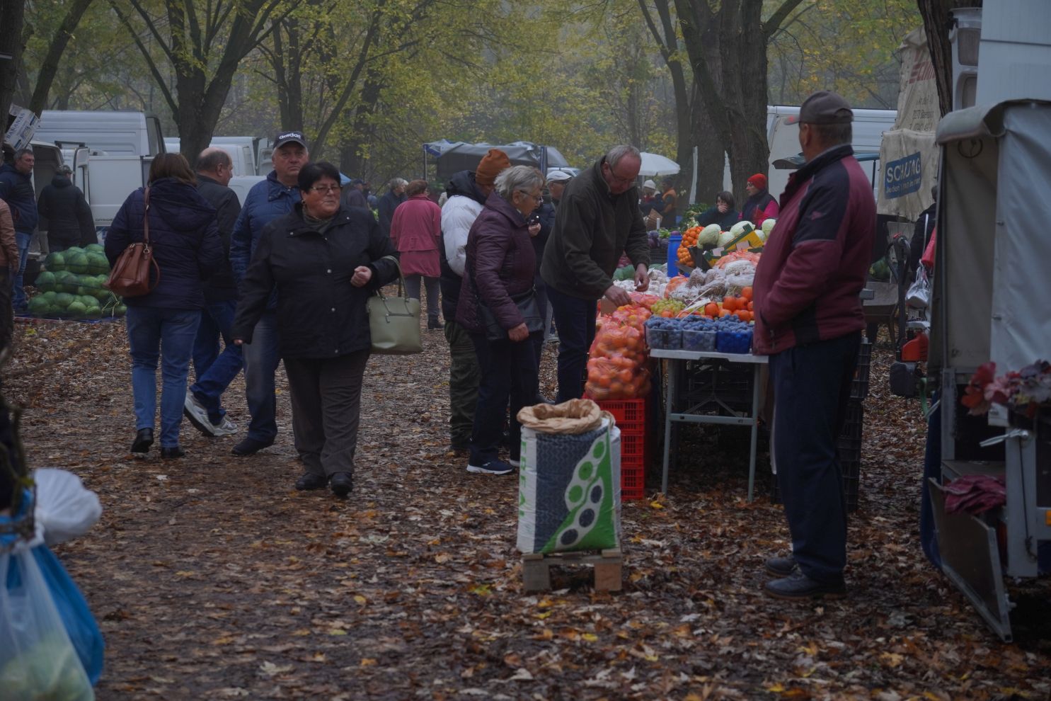Sajam srijedom 12.11 (19)