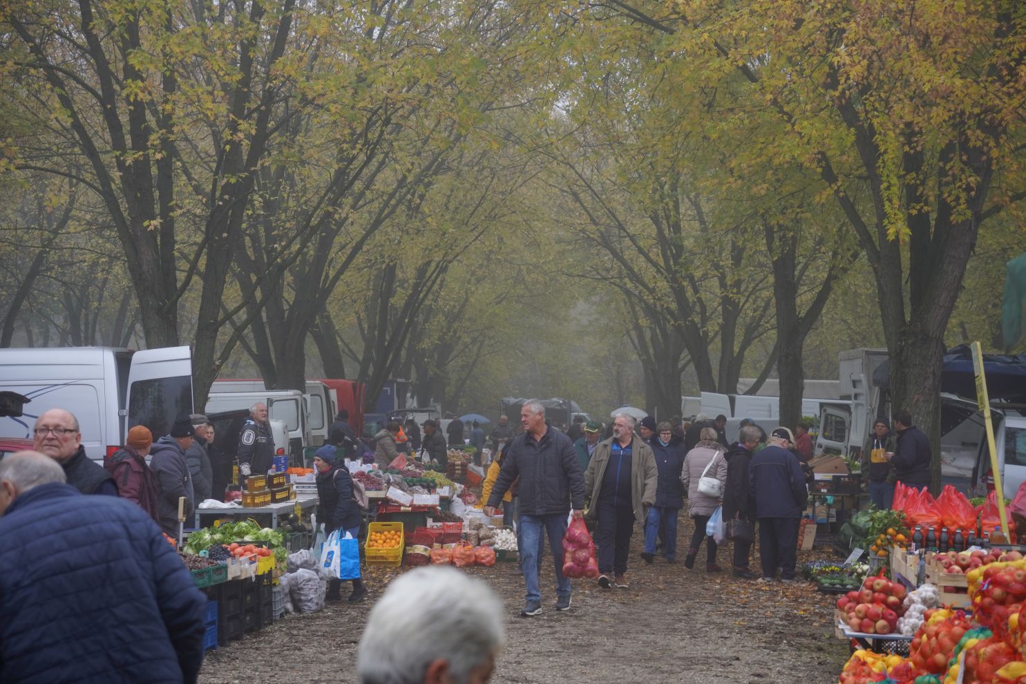 Sajam srijedom 12.11 (2)