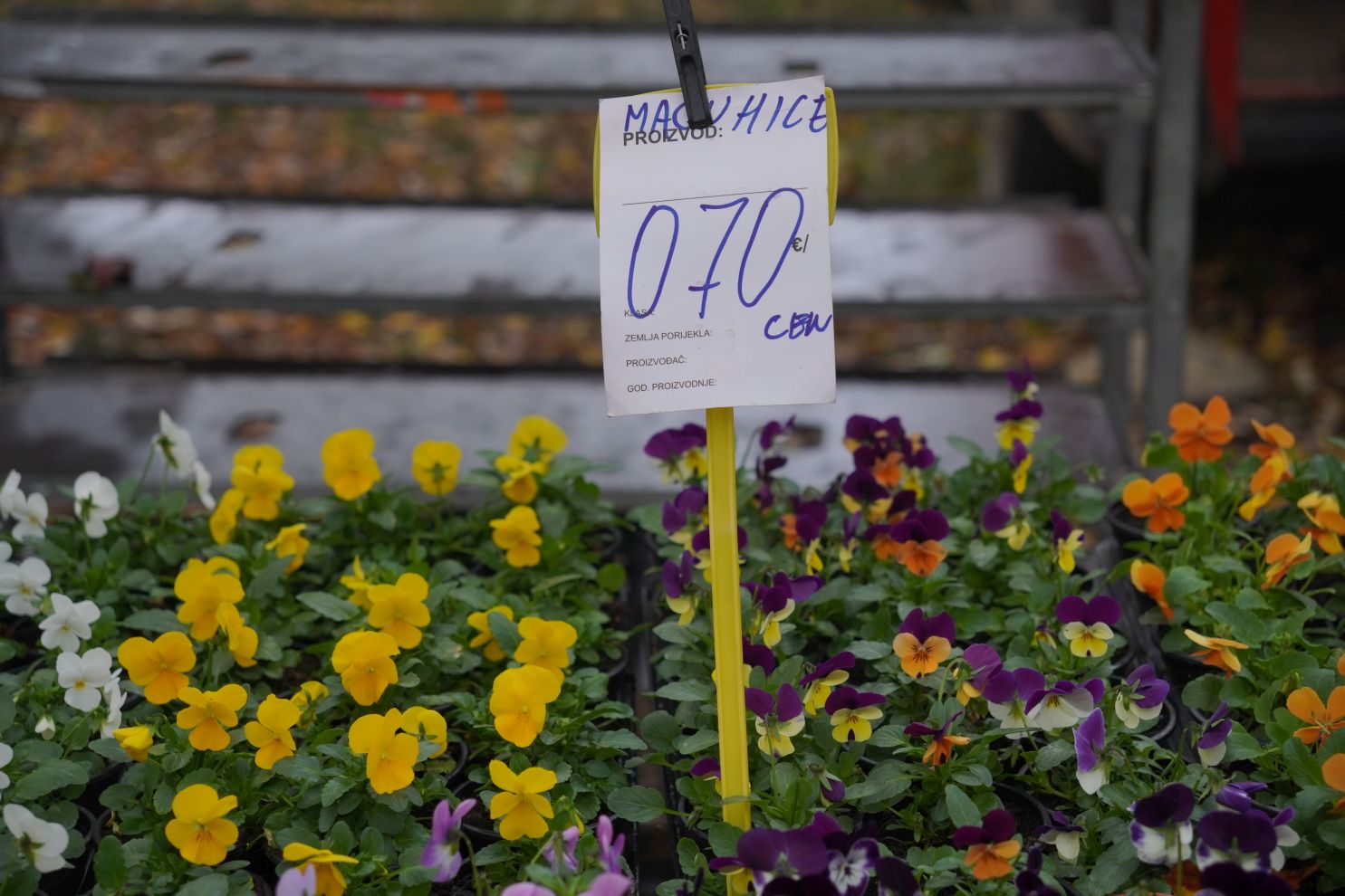 Sajam srijedom 12.11 (20)